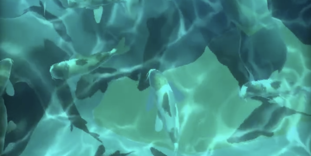 Aurora Zen - Koi Ponds